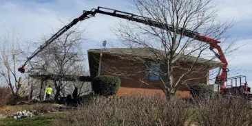 Tree Removal