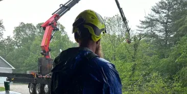 Arborist Evaluation