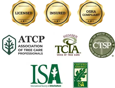 Licensed Ribbons