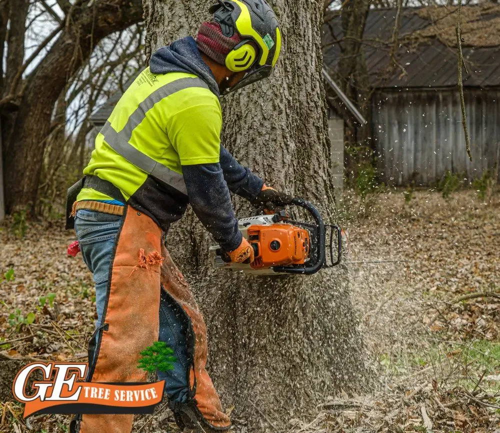 Tree Service Evansville