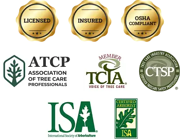 Licensed Ribbons