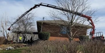 Tree Removal